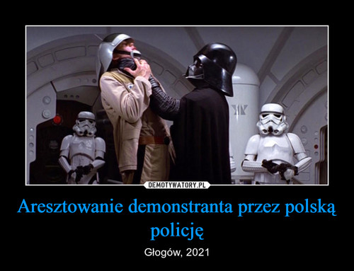Aresztowanie demonstranta przez polską policję