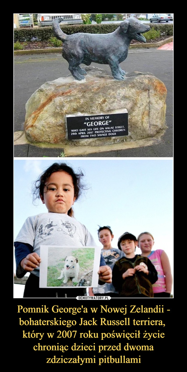 Pomnik George'a w Nowej Zelandii - bohaterskiego Jack Russell terriera, który w 2007 roku poświęcił życie chroniąc dzieci przed dwoma zdziczałymi pitbullami –  