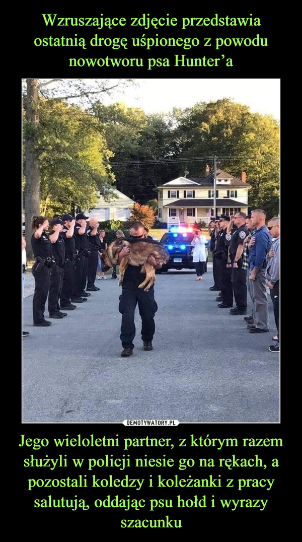 Jego wieloletni partner, z którym razem służyli w policji niesie go na rękach, a pozostali koledzy i koleżanki z pracy salutują, oddając psu hołd i wyrazy szacunku –  