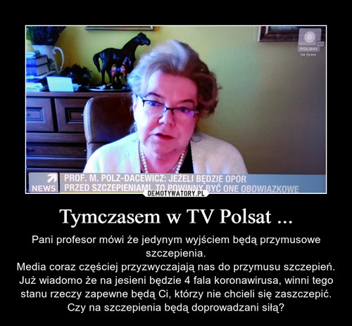 Tymczasem w TV Polsat ...