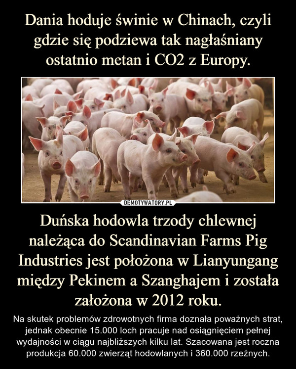 Dania hoduje świnie w Chinach, czyli gdzie się podziewa tak nagłaśniany ostatnio metan i CO2 z Europy. Duńska hodowla trzody chlewnej należąca do Scandinavian Farms Pig Industries jest położona w Lianyungang między Pekinem a Szanghajem i została założona w 2012 roku.