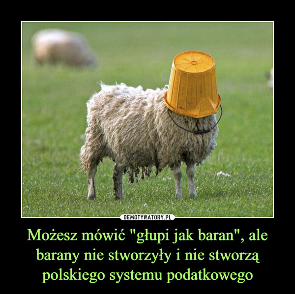Możesz mówić "głupi jak baran", ale barany nie stworzyły i nie stworzą polskiego systemu podatkowego