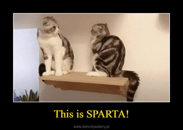 This is SPARTA! –  