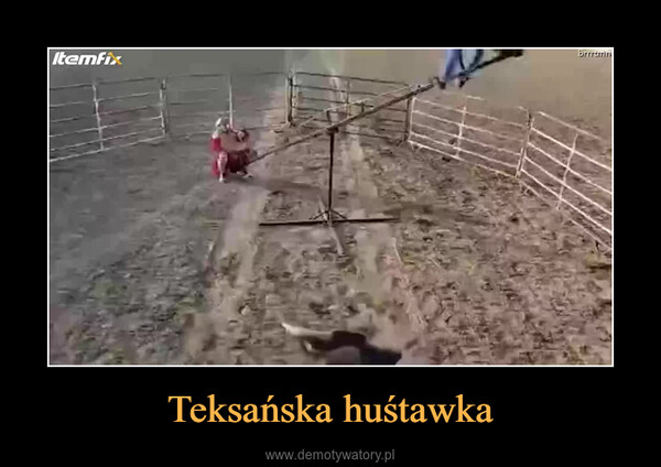 Teksańska huśtawka –  bycza zabawa
