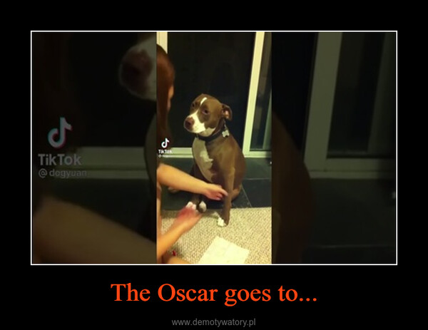 The Oscar goes to... –  