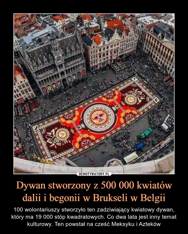 Dywan stworzony z 500 000 kwiatów dalii i begonii w Brukseli w Belgii – 100 wolontariuszy stworzyło ten zadziwiający kwiatowy dywan, który ma 19 000 stóp kwadratowych. Co dwa lata jest inny temat kulturowy. Ten powstał na cześć Meksyku i Azteków 