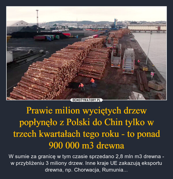 Prawie milion wyciętych drzew popłynęło z Polski do Chin tylko w trzech kwartałach tego roku - to ponad 900 000 m3 drewna – W sumie za granicę w tym czasie sprzedano 2,8 mln m3 drewna - w przybliżeniu 3 miliony drzew. Inne kraje UE zakazują eksportu drewna, np. Chorwacja, Rumunia... 