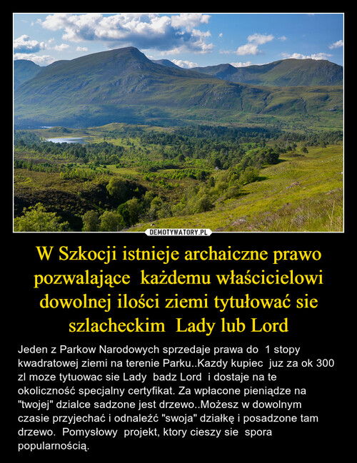 W Szkocji istnieje archaiczne prawo pozwalające  każdemu właścicielowi dowolnej ilości ziemi tytułować sie szlacheckim  Lady lub Lord