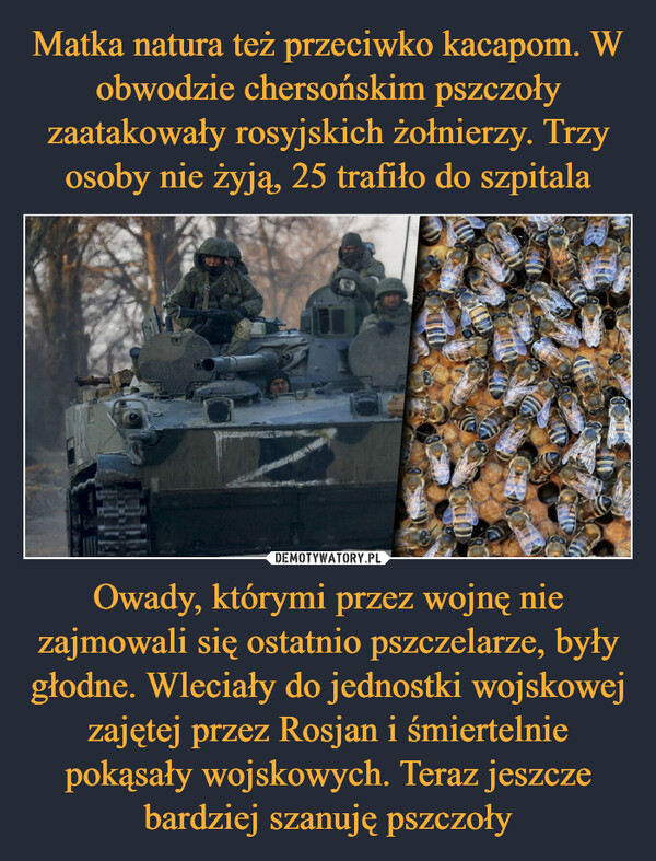 Owady, którymi przez wojnę nie zajmowali się ostatnio pszczelarze, były głodne. Wleciały do jednostki wojskowej zajętej przez Rosjan i śmiertelnie pokąsały wojskowych. Teraz jeszcze bardziej szanuję pszczoły –  