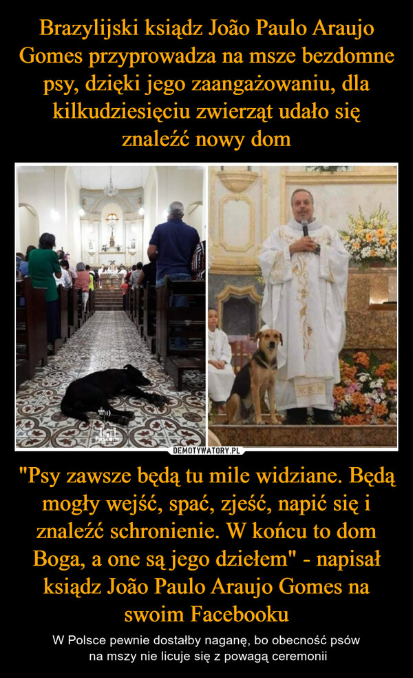 Brazylijski ksiądz João Paulo Araujo Gomes przyprowadza na msze bezdomne psy, dzięki jego zaangażowaniu, dla kilkudziesięciu zwierząt udało się znaleźć nowy dom "Psy zawsze będą tu mile widziane. Będą mogły wejść, spać, zjeść, napić się i znaleźć schronienie. W końcu to dom Boga, a one są jego dziełem" - napisał ksiądz João Paulo Araujo Gomes na swoim Facebooku