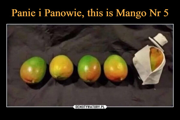 Panie i Panowie, this is Mango Nr 5