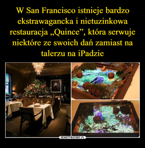 W San Francisco istnieje bardzo ekstrawagancka i nietuzinkowa restauracja „Quince”, która serwuje niektóre ze swoich dań zamiast na talerzu na iPadzie