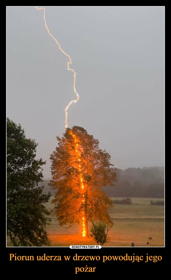 Piorun uderza w drzewo powodując jego pożar –  