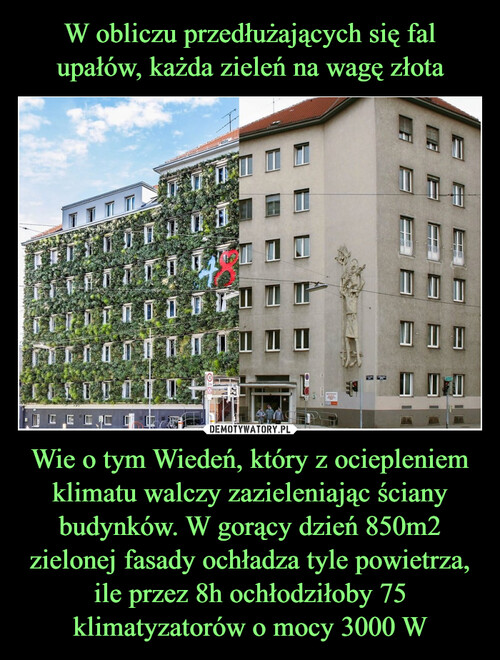 W obliczu przedłużających się fal upałów, każda zieleń na wagę złota Wie o tym Wiedeń, który z ociepleniem klimatu walczy zazieleniając ściany budynków. W gorący dzień 850m2 zielonej fasady ochładza tyle powietrza, ile przez 8h ochłodziłoby 75 klimatyzatorów o mocy 3000 W