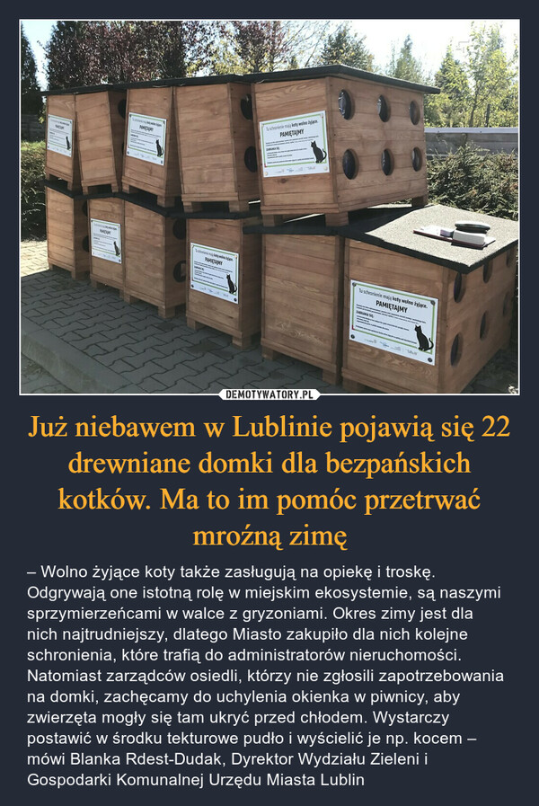 Już niebawem w Lublinie pojawią się 22 drewniane domki dla bezpańskich kotków. Ma to im pomóc przetrwać mroźną zimę – – Wolno żyjące koty także zasługują na opiekę i troskę. Odgrywają one istotną rolę w miejskim ekosystemie, są naszymi sprzymierzeńcami w walce z gryzoniami. Okres zimy jest dla nich najtrudniejszy, dlatego Miasto zakupiło dla nich kolejne schronienia, które trafią do administratorów nieruchomości. Natomiast zarządców osiedli, którzy nie zgłosili zapotrzebowania na domki, zachęcamy do uchylenia okienka w piwnicy, aby zwierzęta mogły się tam ukryć przed chłodem. Wystarczy postawić w środku tekturowe pudło i wyścielić je np. kocem – mówi Blanka Rdest-Dudak, Dyrektor Wydziału Zieleni i Gospodarki Komunalnej Urzędu Miasta Lublin 