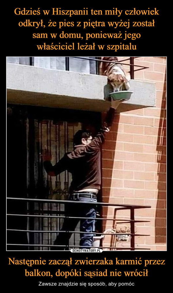 Gdzieś w Hiszpanii ten miły człowiek odkrył, że pies z piętra wyżej został
sam w domu, ponieważ jego
właściciel leżał w szpitalu Następnie zaczął zwierzaka karmić przez balkon, dopóki sąsiad nie wrócił
