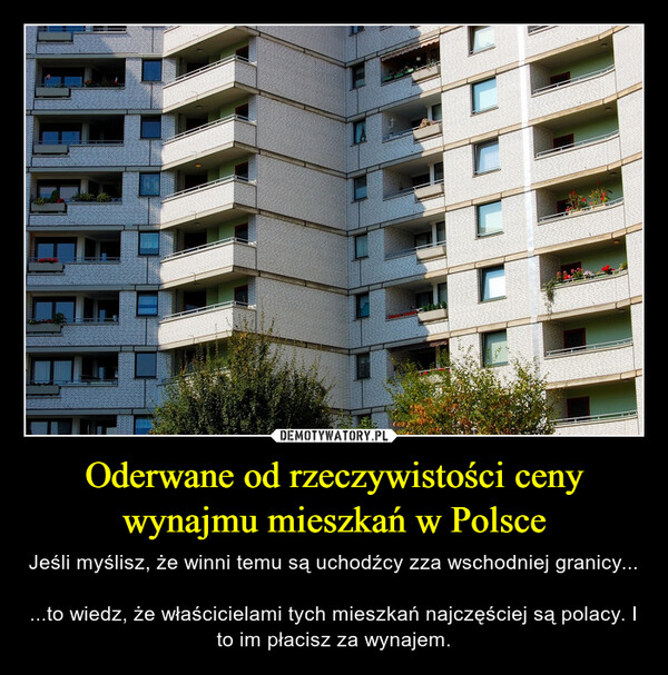Oderwane od rzeczywistości ceny wynajmu mieszkań w Polsce – Jeśli myślisz, że winni temu są uchodźcy zza wschodniej granicy......to wiedz, że właścicielami tych mieszkań najczęściej są polacy. I to im płacisz za wynajem. 
