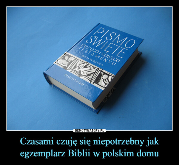 Czasami czuję się niepotrzebny jak egzemplarz Biblii w polskim domu