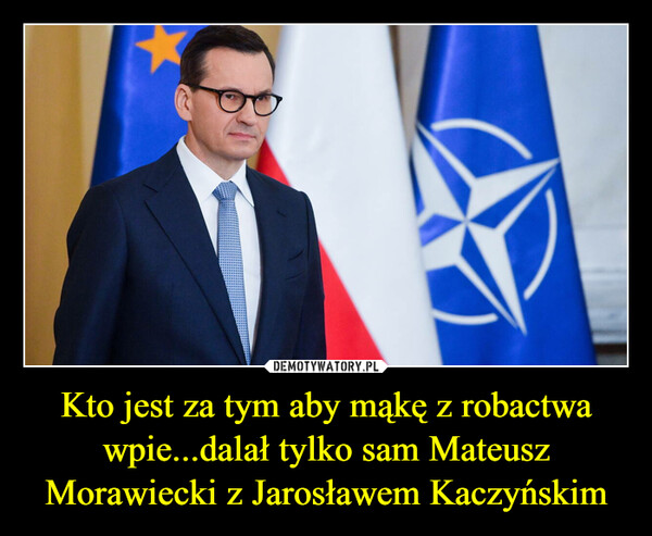 Kto jest za tym aby mąkę z robactwa wpie...dalał tylko sam Mateusz Morawiecki z Jarosławem Kaczyńskim –  