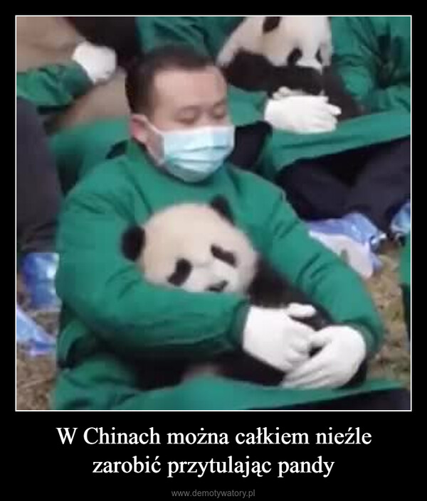 W Chinach można całkiem nieźle zarobić przytulając pandy –  0:03 6.7M viewsD2ZN
