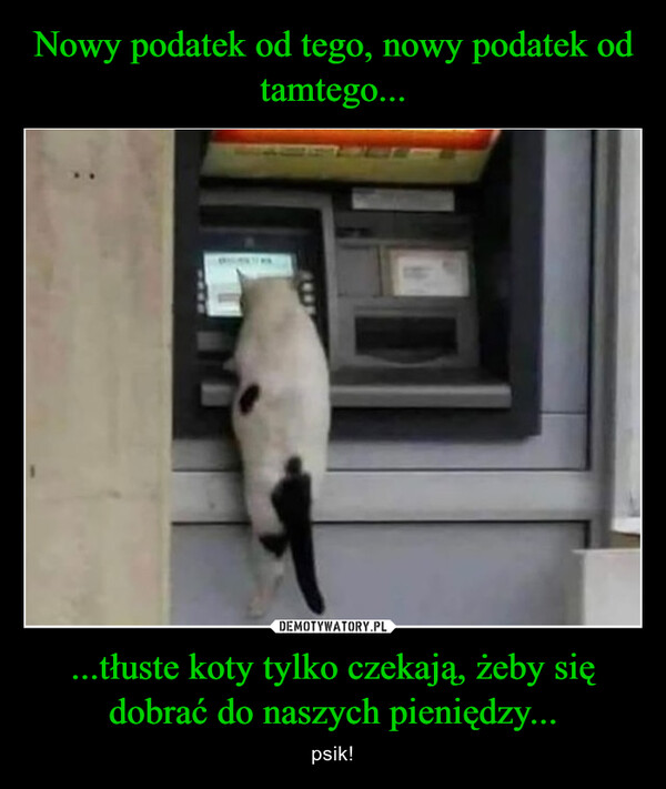 ...tłuste koty tylko czekają, żeby się dobrać do naszych pieniędzy... – psik! 