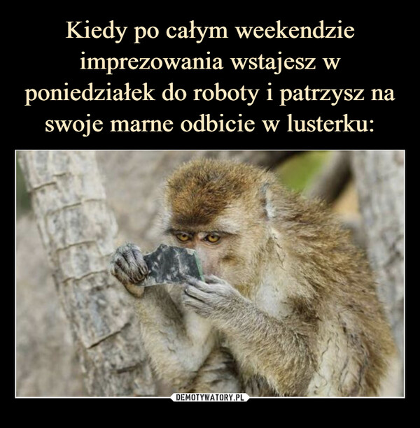  –  
