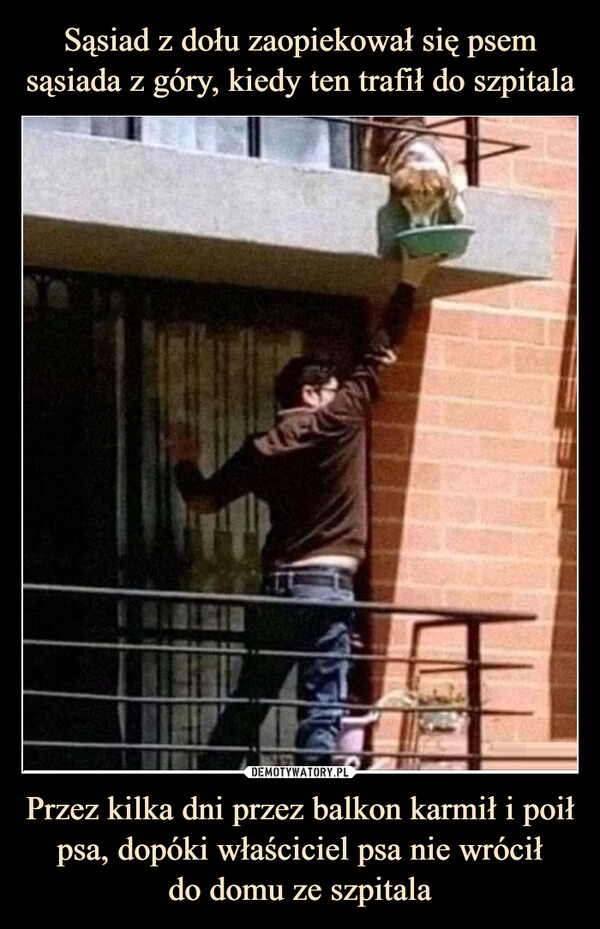 Przez kilka dni przez balkon karmił i poił psa, dopóki właściciel psa nie wróciłdo domu ze szpitala –  