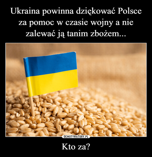 Ukraina powinna dziękować Polsce za pomoc w czasie wojny a nie zalewać ją tanim zbożem... Kto za?