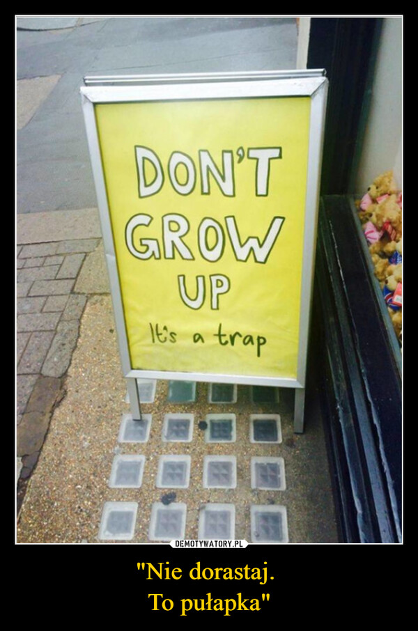 "Nie dorastaj. To pułapka" –  DON'TGROWUPIt's a trap