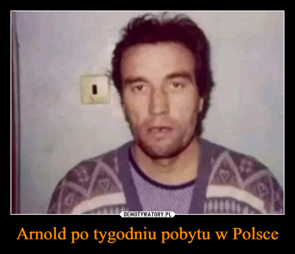 Arnold po tygodniu pobytu w Polsce