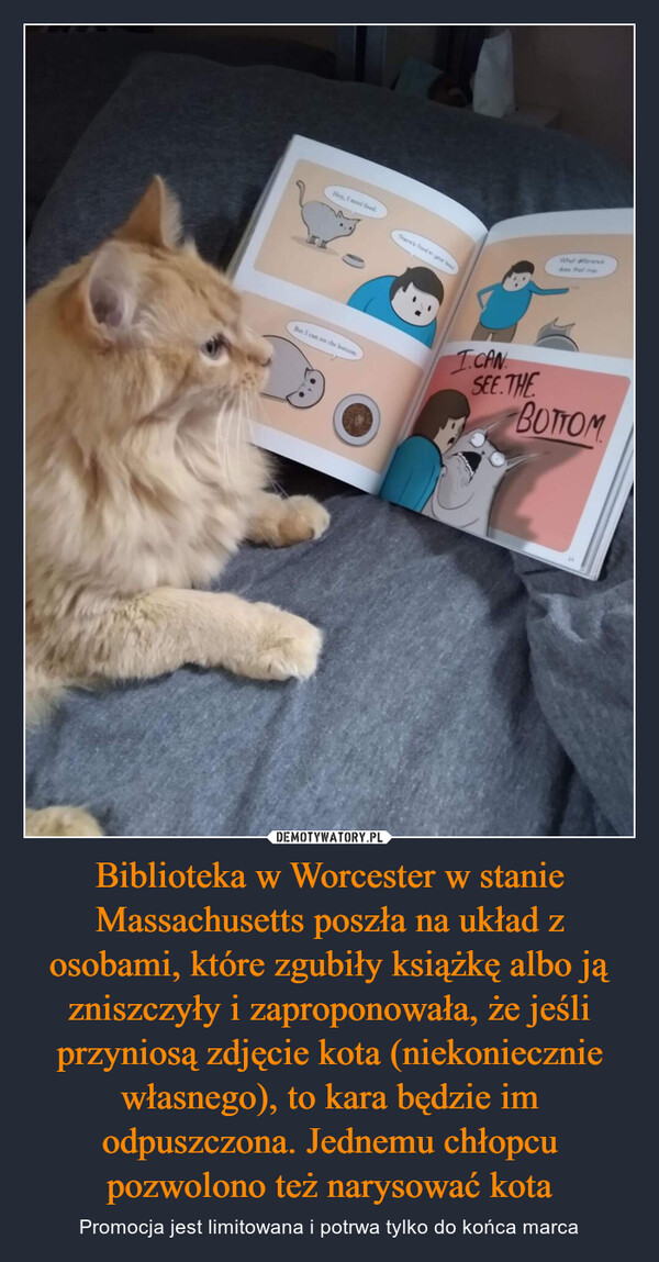 Biblioteka w Worcester w stanie Massachusetts poszła na układ z osobami, które zgubiły książkę albo ją zniszczyły i zaproponowała, że jeśli przyniosą zdjęcie kota (niekoniecznie własnego), to kara będzie im odpuszczona. Jednemu chłopcu pozwolono też narysować kota