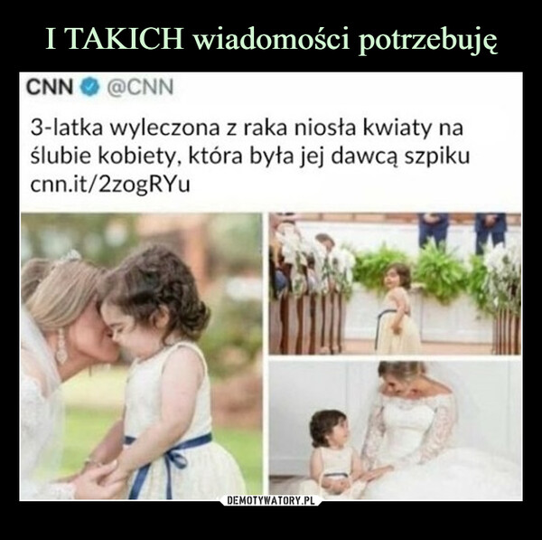  –  CNN @CNN3-latka wyleczona z raka niosła kwiaty naślubie kobiety, która była jej dawcą szpikucnn.it/2zogRYu