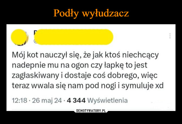  –  Mój kot nauczył się, że jak ktoś niechcącynadepnie mu na ogon czy łapkę to jestzagłaskiwany i dostaje coś dobrego, więcteraz wwala się nam pod nogi i symuluje xd12:18 26 maj 24 4 344 Wyświetlenia