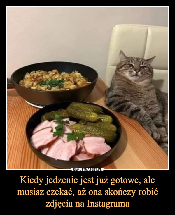 Kiedy jedzenie jest już gotowe, ale musisz czekać, aż ona skończy robić zdjęcia na Instagrama –  