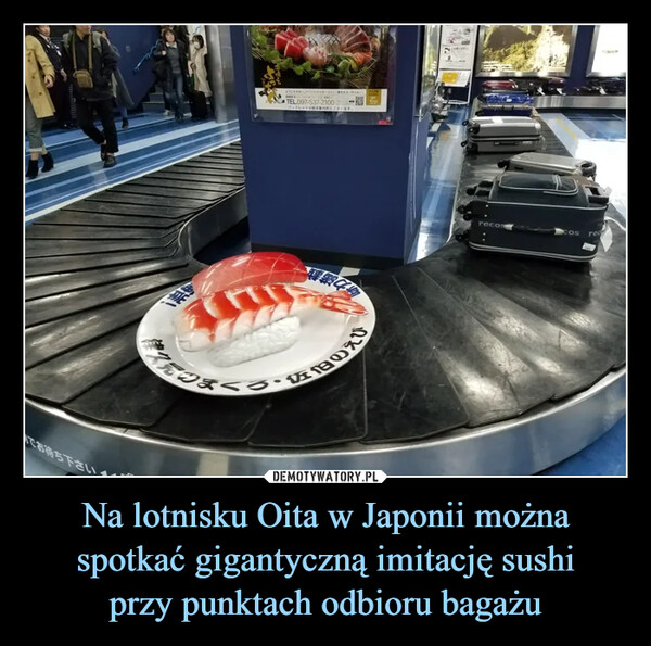 Na lotnisku Oita w Japonii można spotkać gigantyczną imitację sushiprzy punktach odbioru bagażu –  でお待ち下さい!TEL 097-537-2100仮のえびrecosCOSre