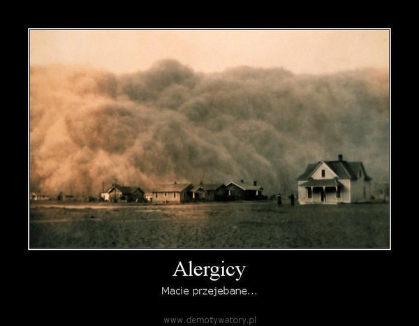Alergicy